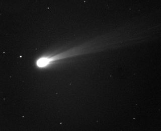 Bright Comet ISON on Nov. 19