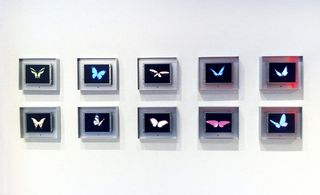 The 'Digital butterflies' by Dominic Harris (on show at Priveekollektie) respond to the viewers presence