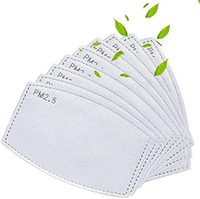 Face Mask Filters 30-Pack: $18 @ Amazon