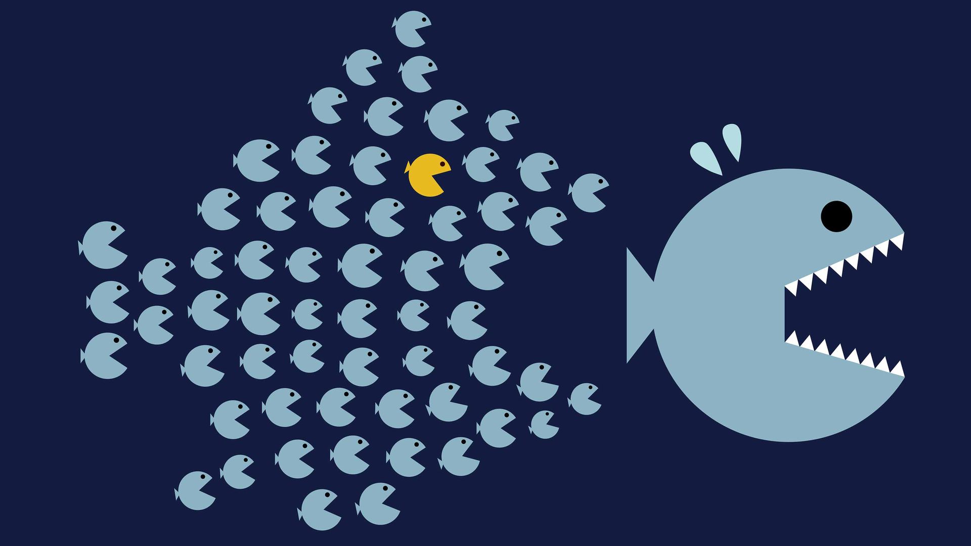 Vanguard Explorer: BUY