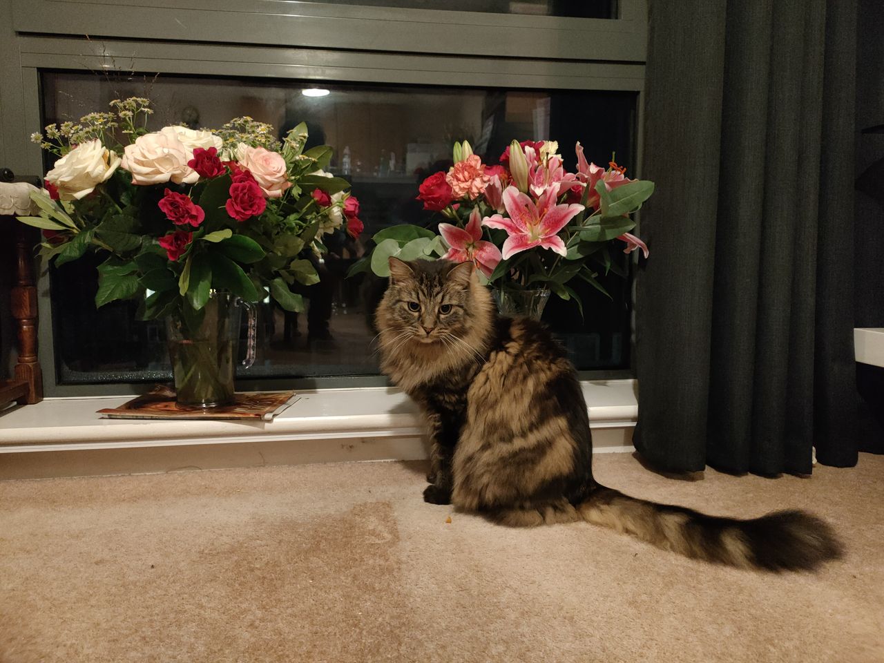 Oppo Reno 4 5G camera sample
