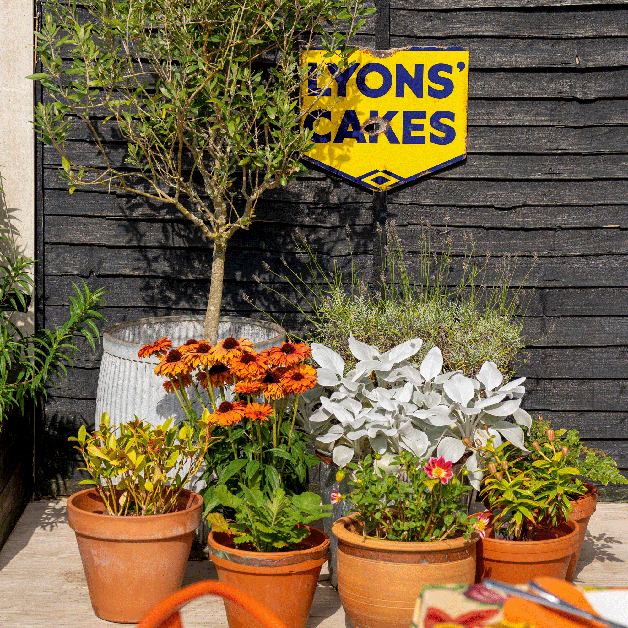 a patio with a black painted fence with a large vintage sign with lots of planters filled with plants and flowers