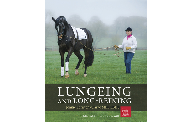 Jennie Loriston Clarke book