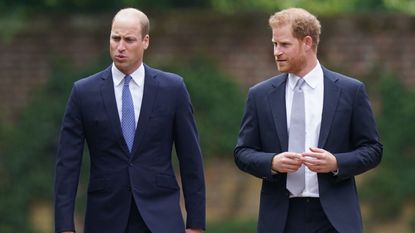 Prince William and Prince Harry