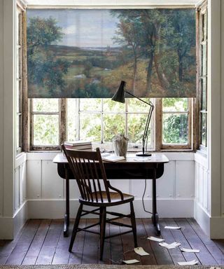 Window treatment idea with blind with picture on it