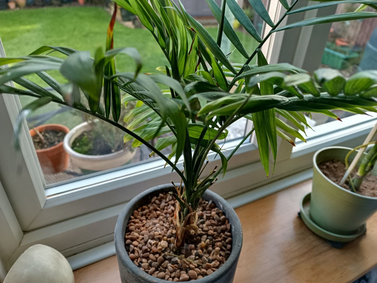 Doogee V30 photo examples