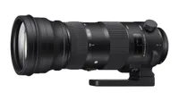 Best Nikon telephoto: Sigma 150-600mm f/5-6.3 DG OS HSM | S