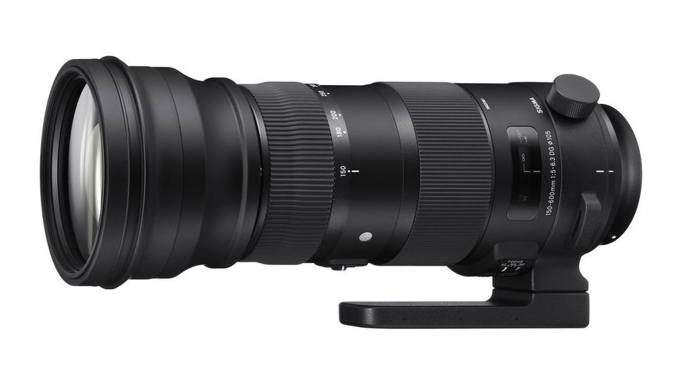 The best 150-600mm lenses in 2022 | Digital Camera World