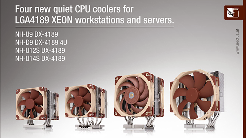 Noctua