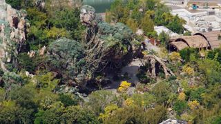 An aerial view of Disney's Pandora land.