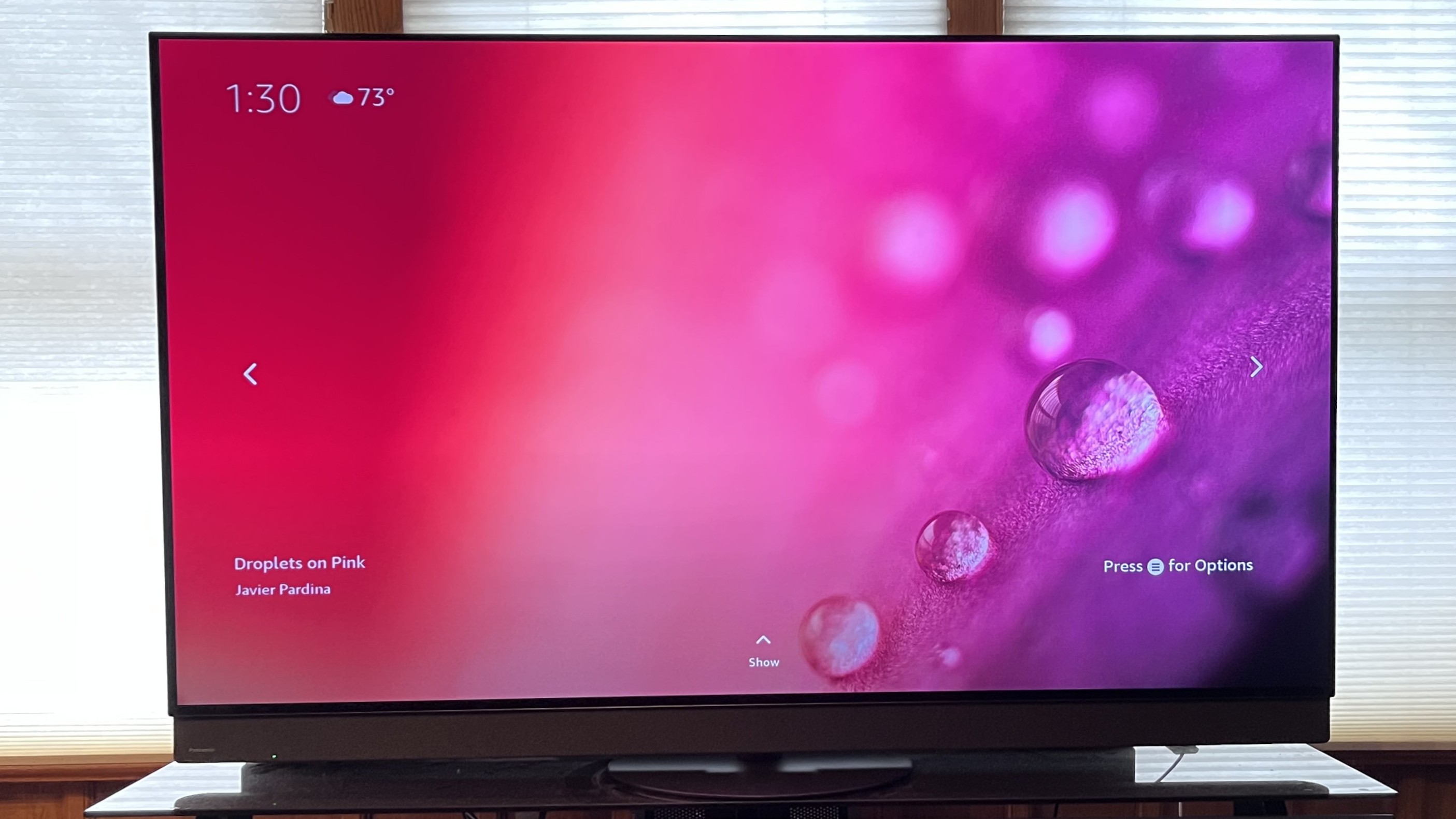 Panasonic z95b showing image of water drops on flower