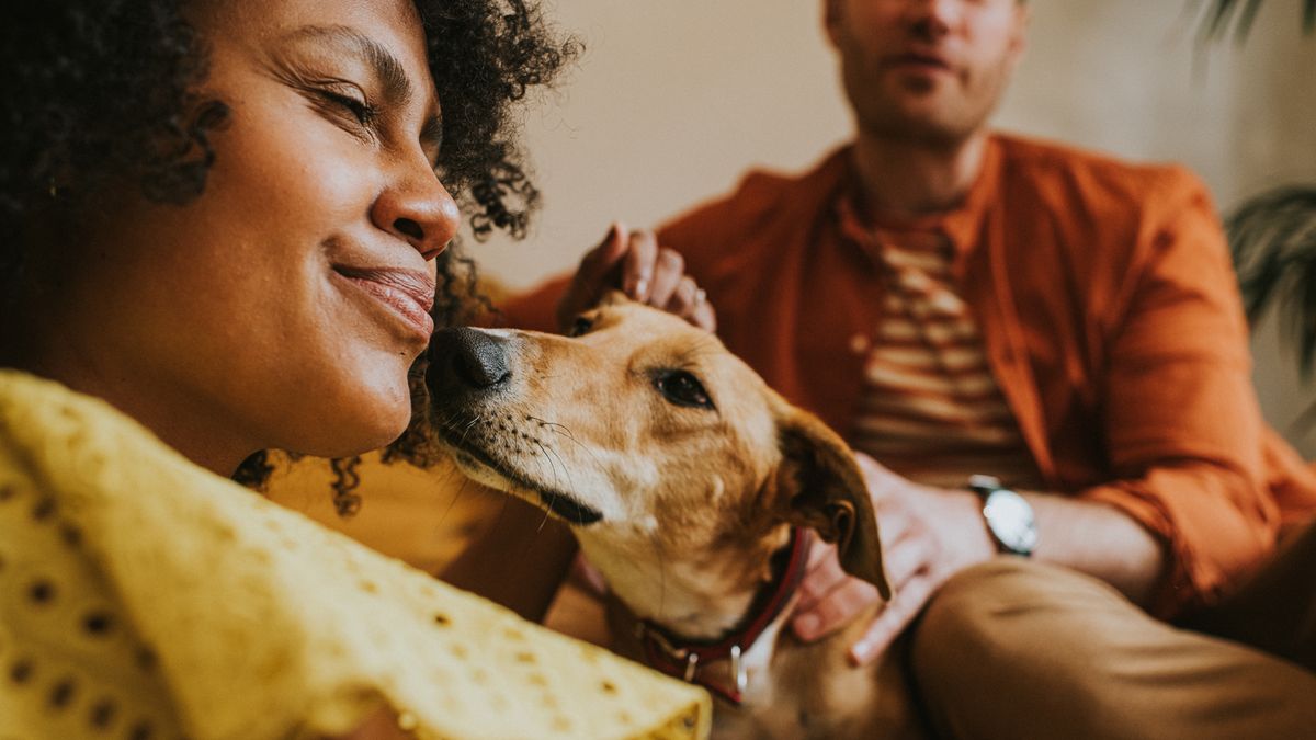 Dog sniffing woman&#039;s face