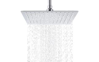 Best showerhead