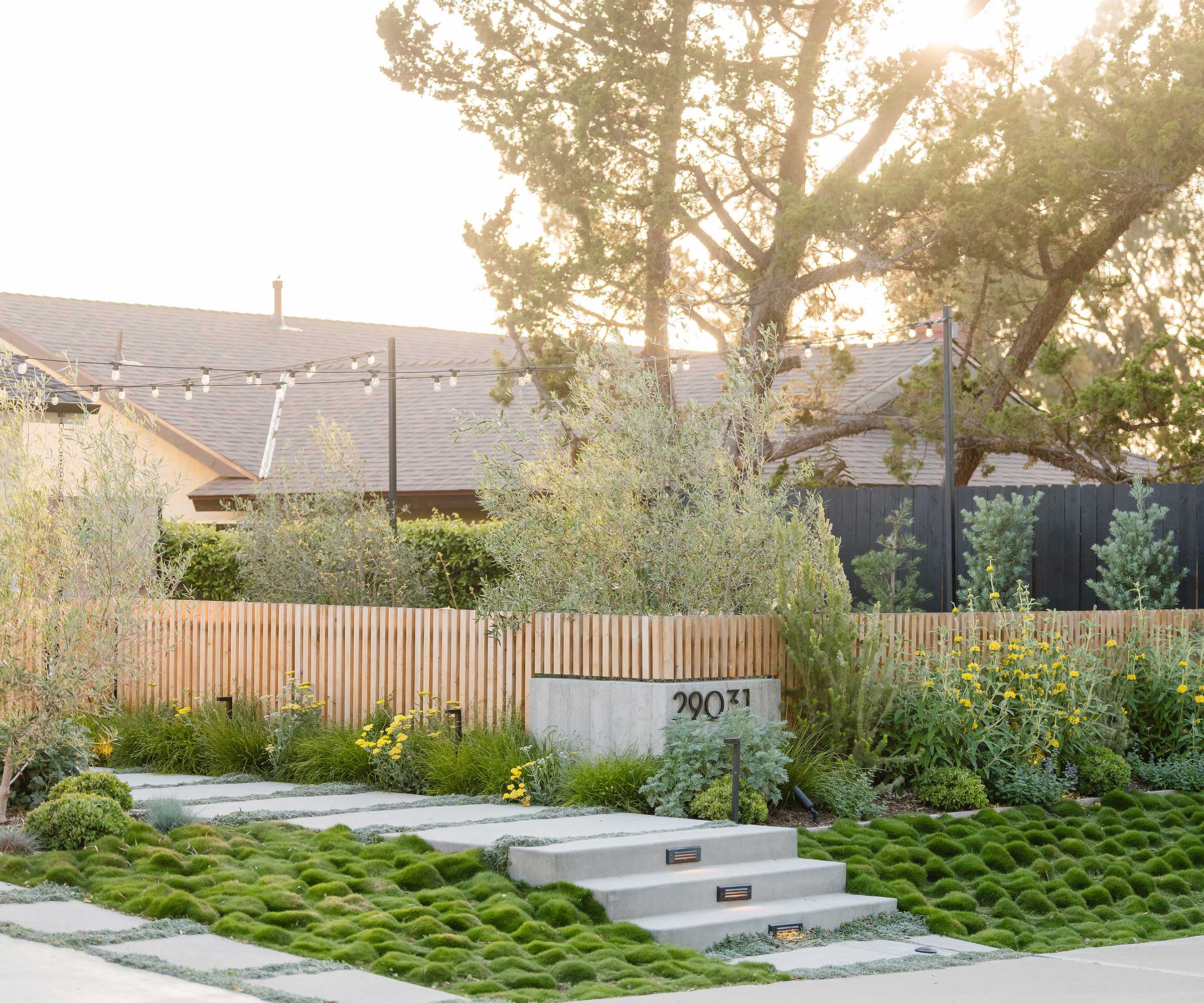 a front yard designed by Living Gardens Landscape Design, demonstrating fence line landscaping