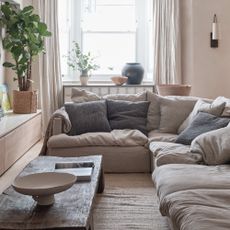 A neutral living room with a corner low sofa, a rustic coffee table and a large plant