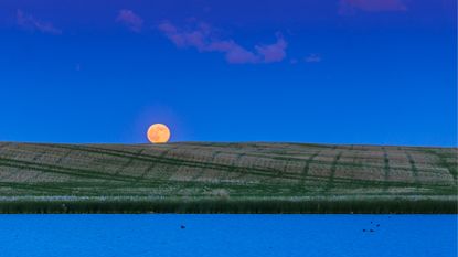 A glowing full moon is seen on the horizon over a moved grassy area.