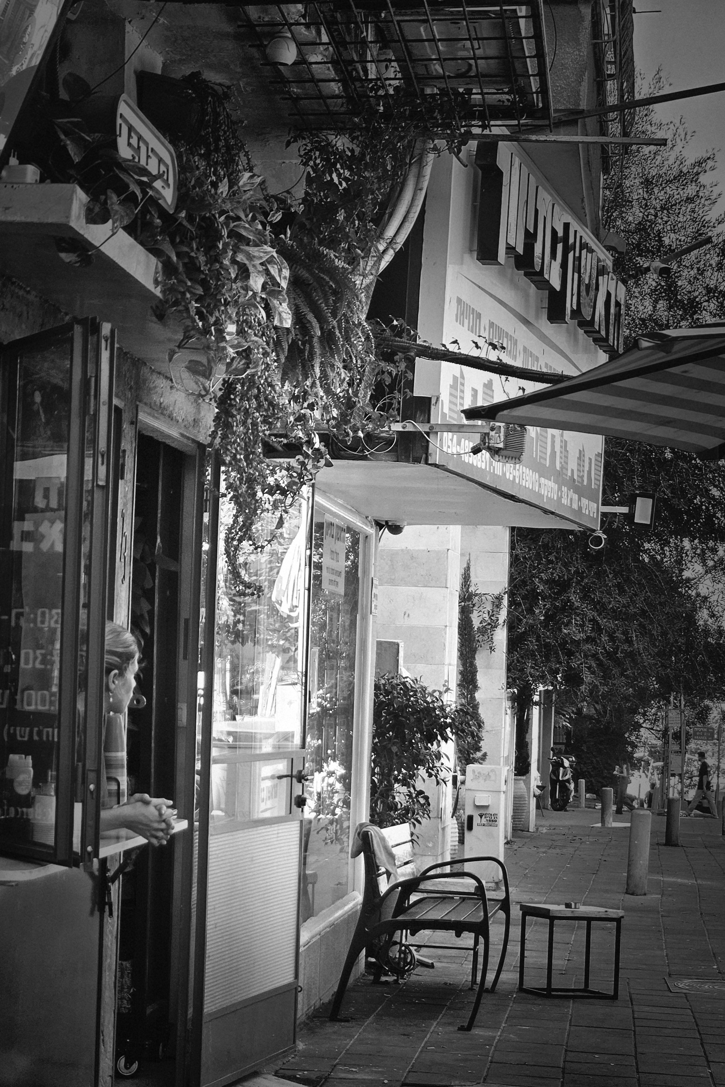 GuruShots - February 2026