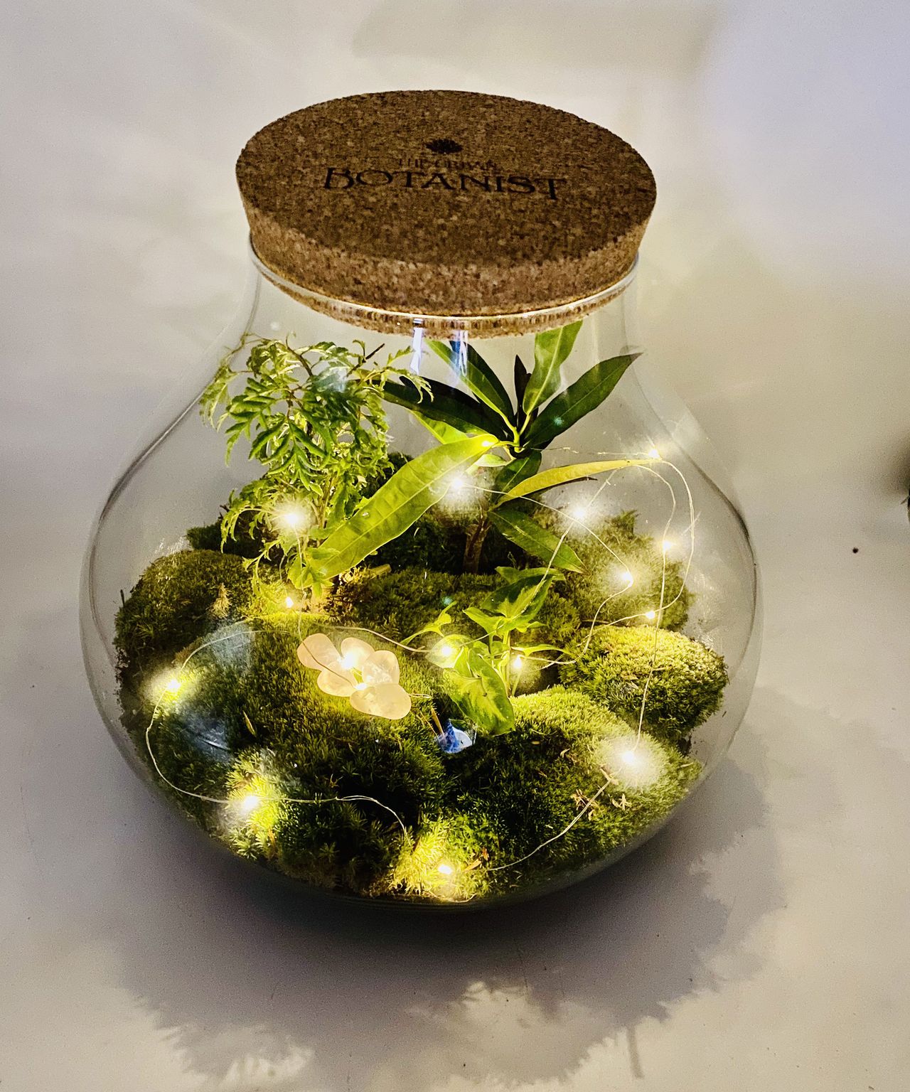 The Christmas terrarium trend is a musttry for plant lovers Gardeningetc