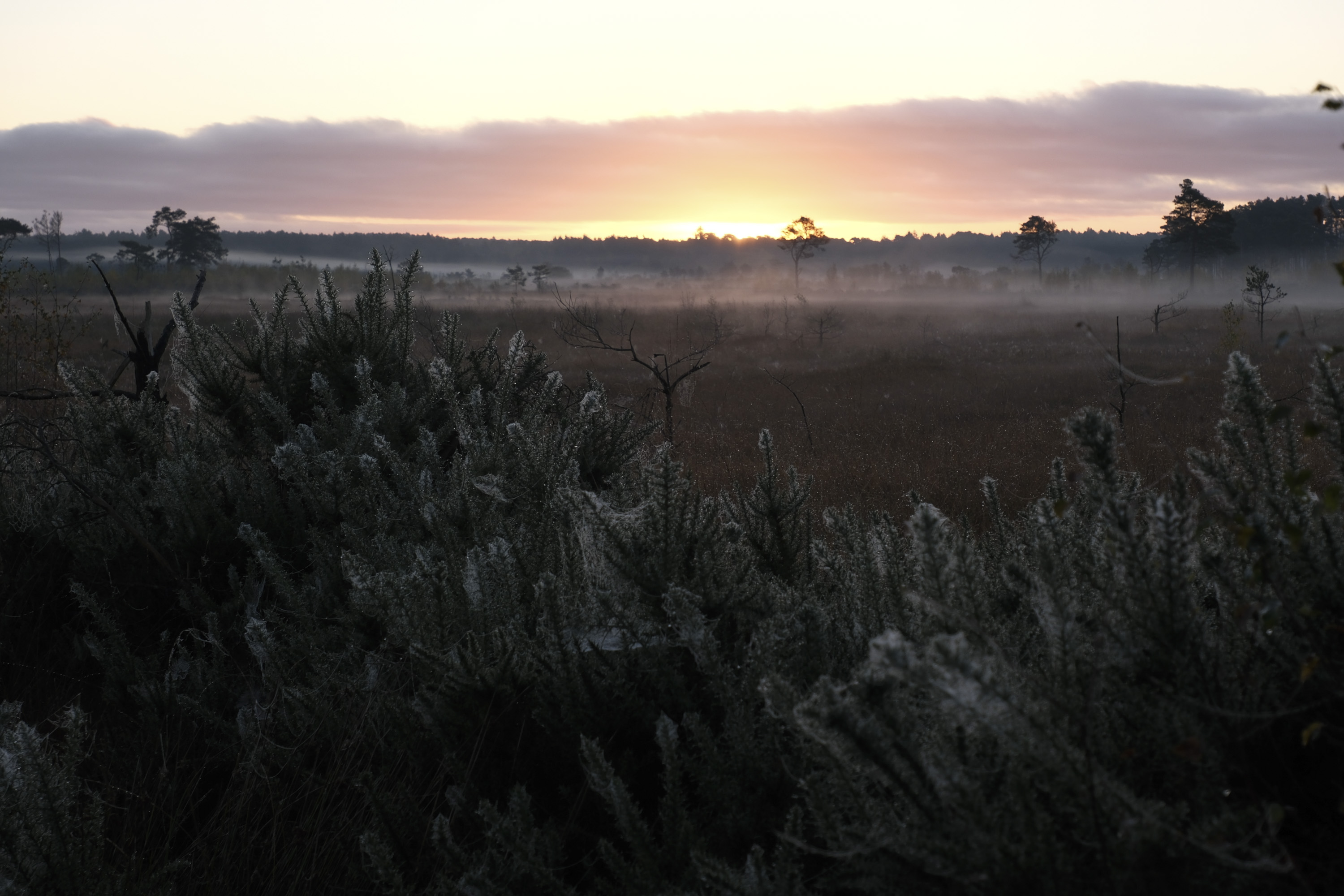 Autumn sunrise over a common in the UK, taken with the Fujifilm X-M5