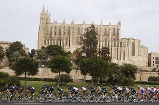 The peloton in action during Day 4 of the 2016 Challanege Mallorca