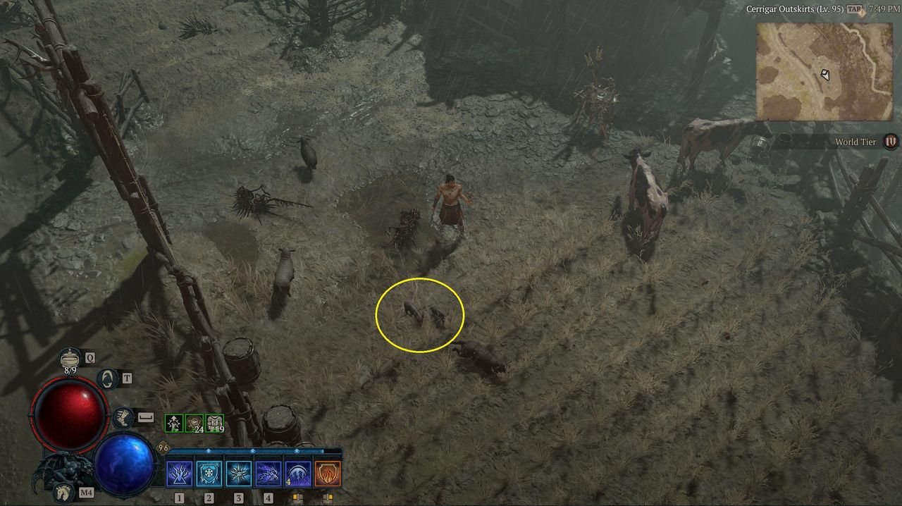 Locations of pigs in Diablo 4