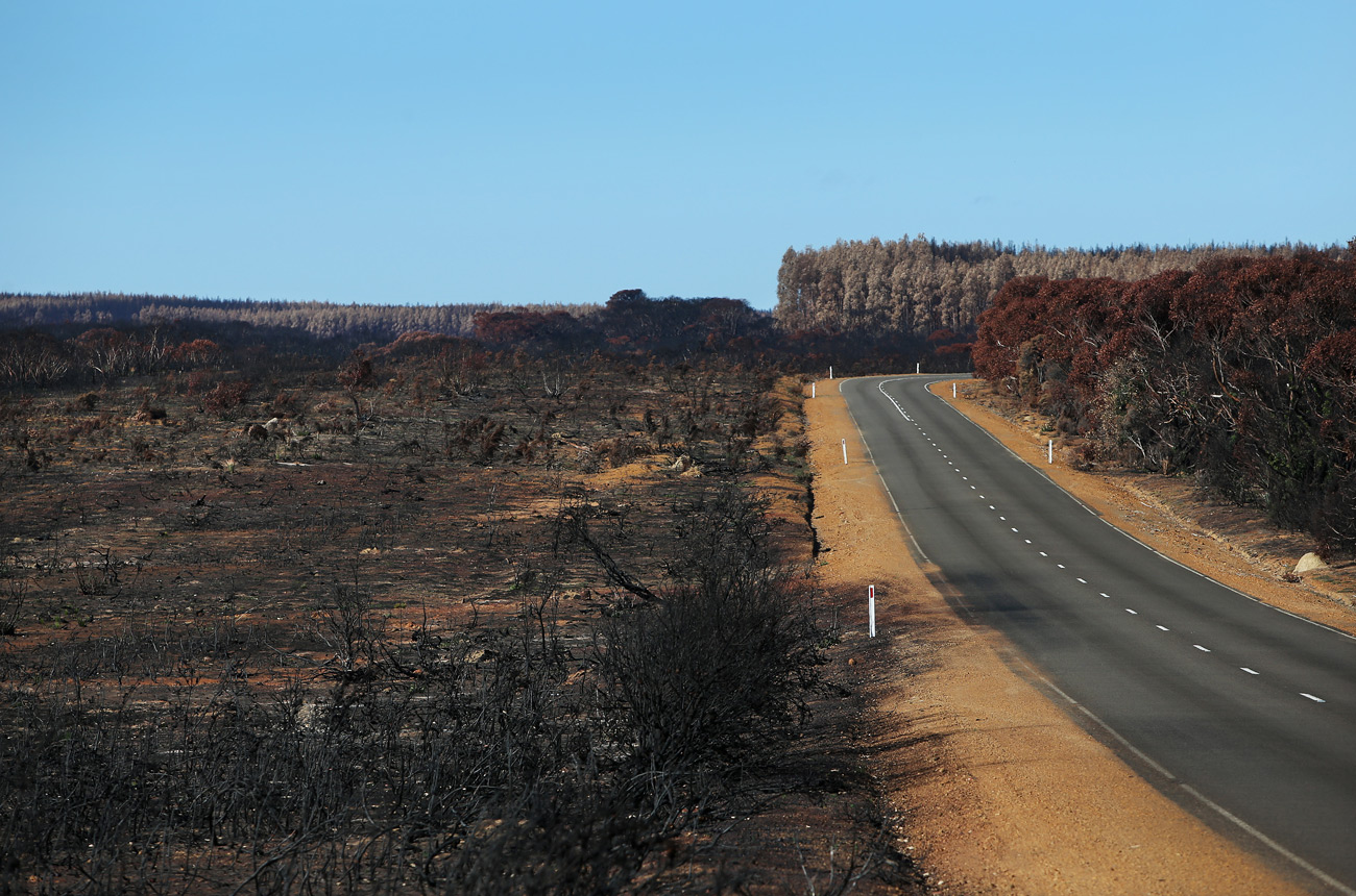 Australian vineyard bushfires