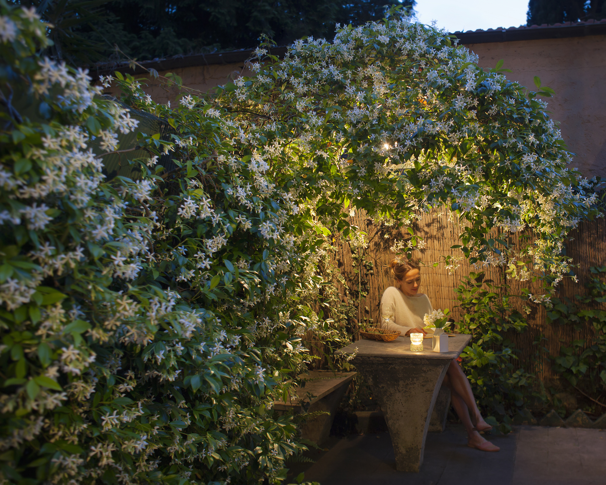 Woman sits in garden beneath pergola covered with star jasmine