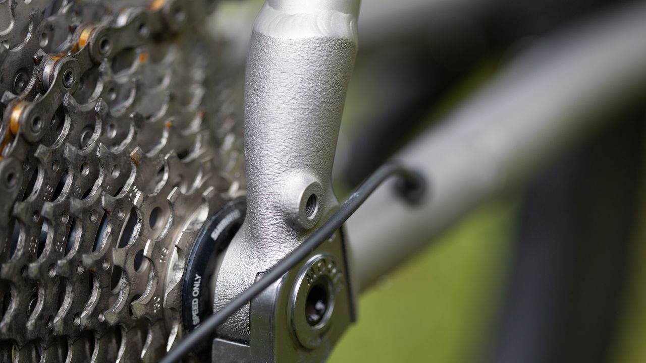 Moots Routt RSL drive side 3d printed drop out