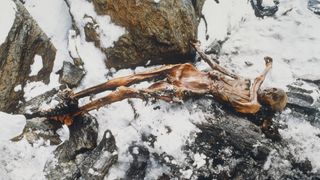 Human mummified remains lay over a snow bank.