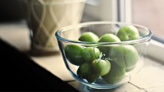 picture of tomatoes in bowl on windowsill