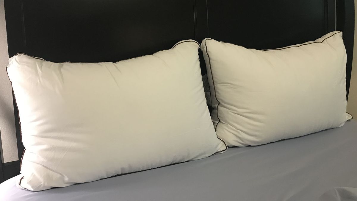 Saatva Latex Pillow Review a luxurious yet supportive pillow that's