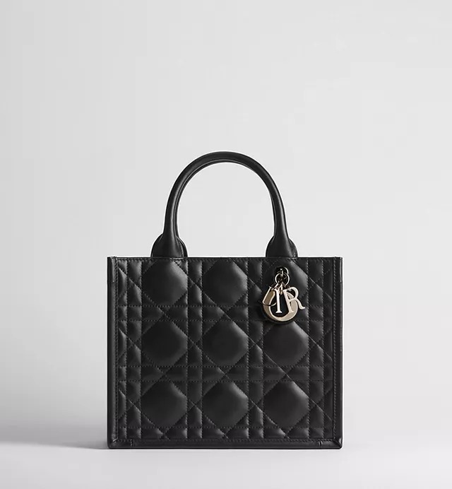 dior, Small Book Tote