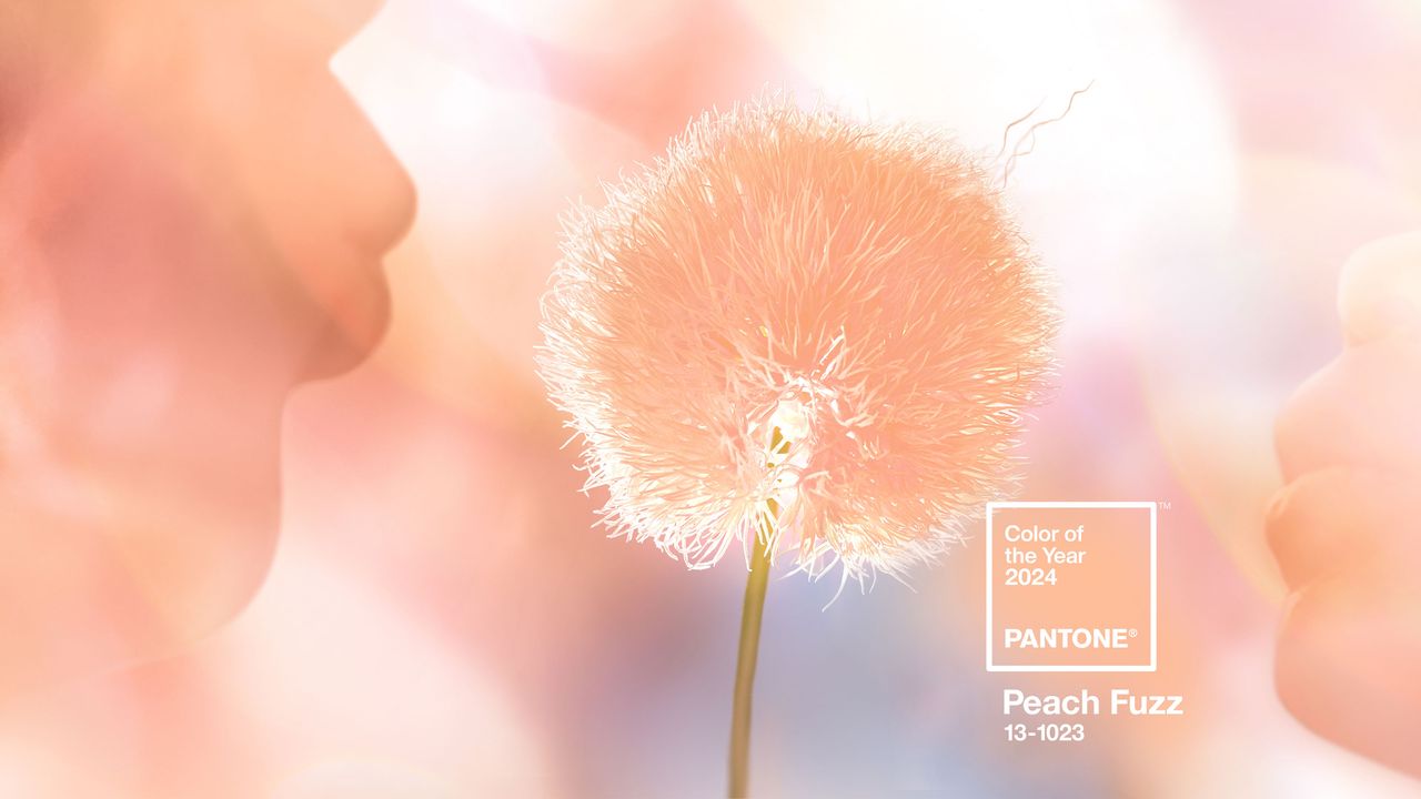 Pantone&#039;s Color of the Year 2024, Peach Fuzz.