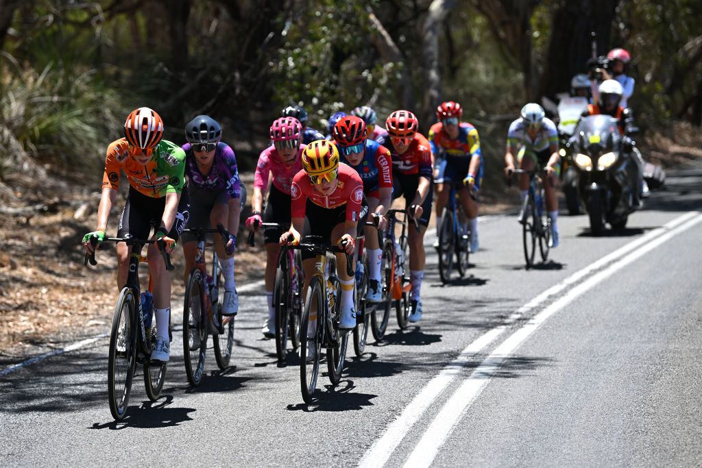 WILLUNGA HILL AUSTRALIA JANUARY 18 LR Emily Watts of Australia and Team St MichelPreference HomeAuber 93 and Alberte Greve of Denmark and Team UnoX Mobility compete in the breakaway during the 9th Santos Womens Tour Down Under 2025 Stage 2 a 115km stage from Unley to Willunga Hill 370m on January 18 2025 in Willunga Hill Australia Photo by Dario BelingheriGetty Images