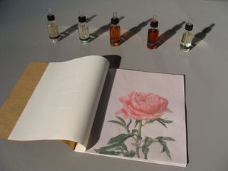 Painting of a rose in a notebook beside five scent bottles