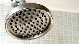 Close up of shower head with limescale
