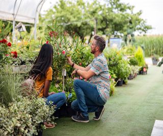 A man and woman choosing plants at a garden centre
