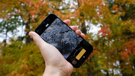 The Koloristika app in held in a hand