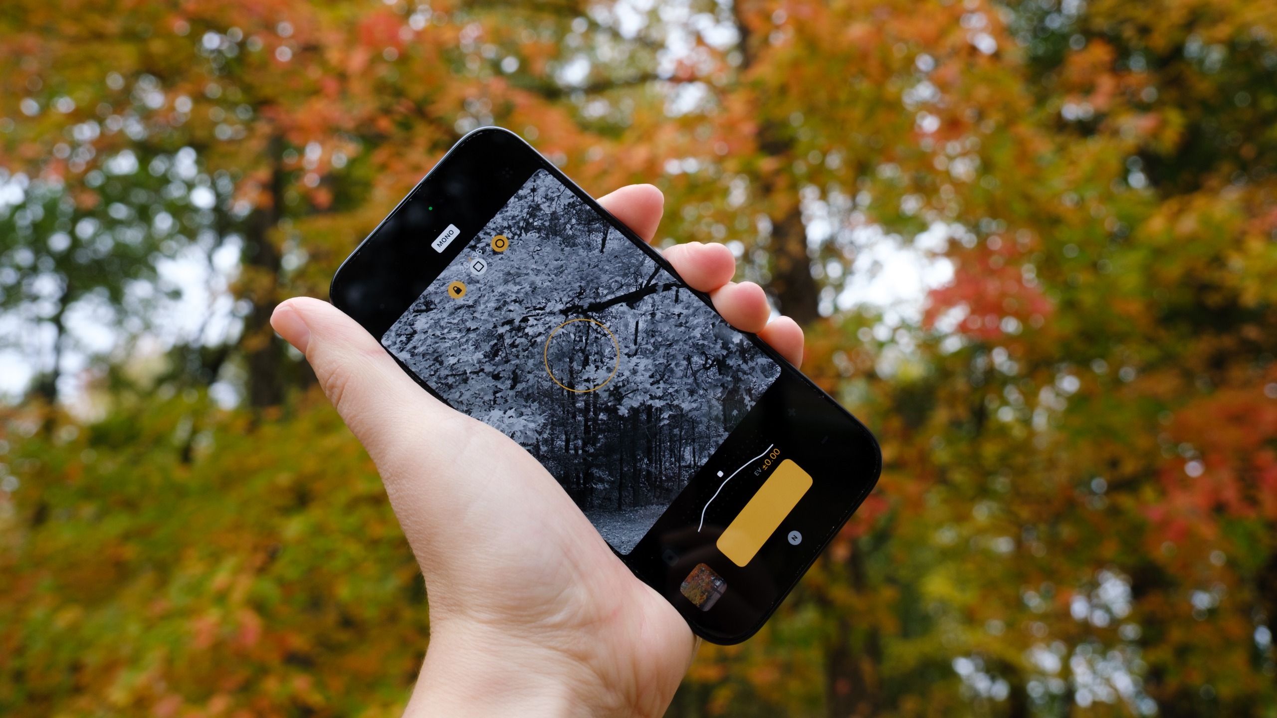 The Koloristika app in held in a hand