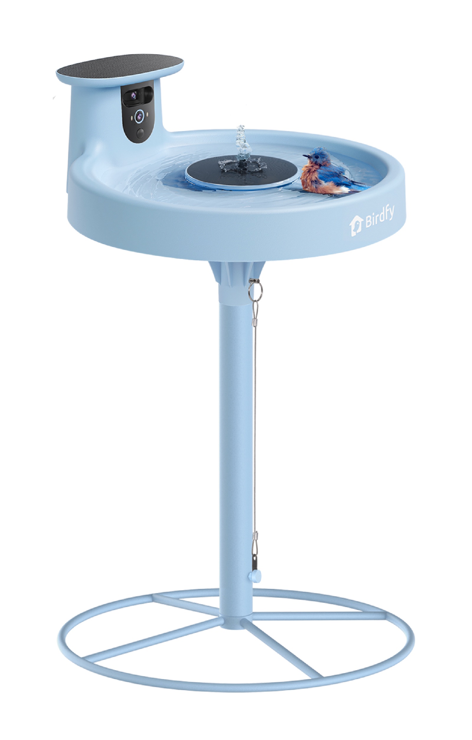 bird sitting in blue Birdfy Bath Pro with Stand