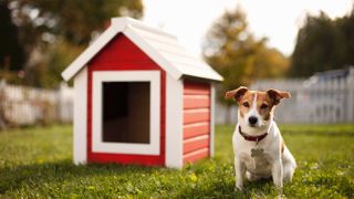 Dog kennel