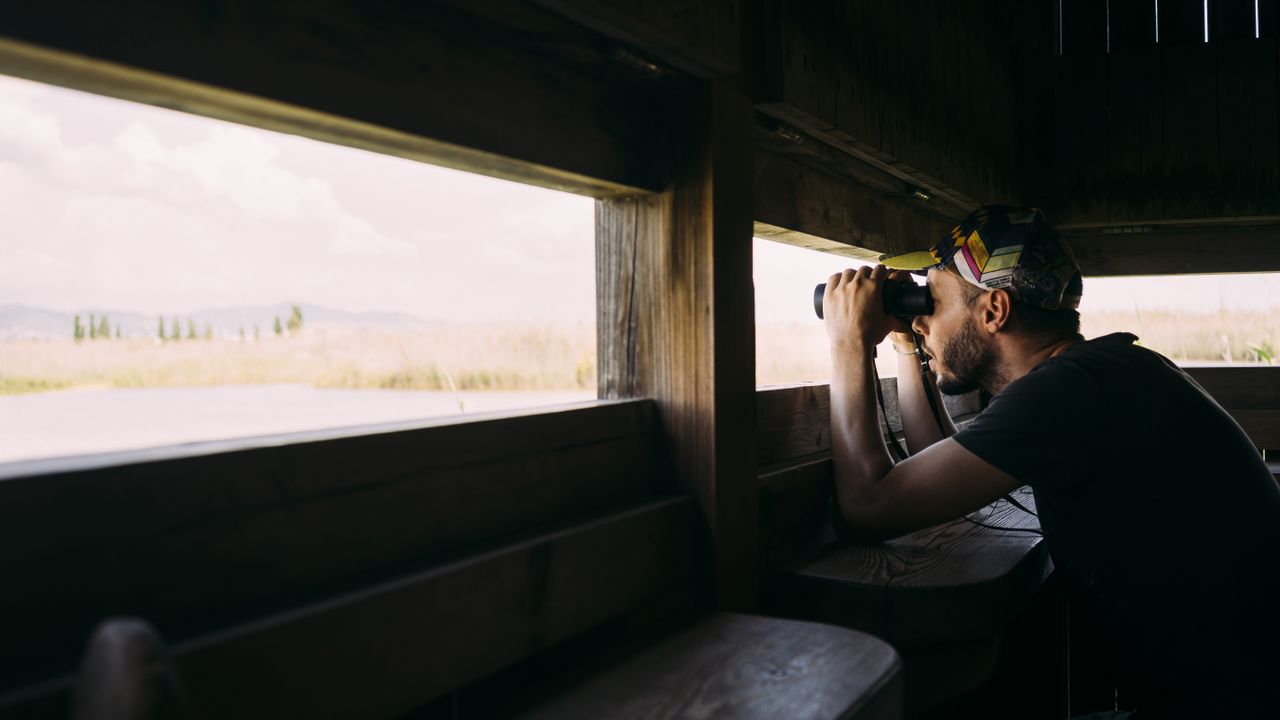 best binoculars for birdwatching: birdwatcher looking our of a hiding spot using birdwatching binoculars