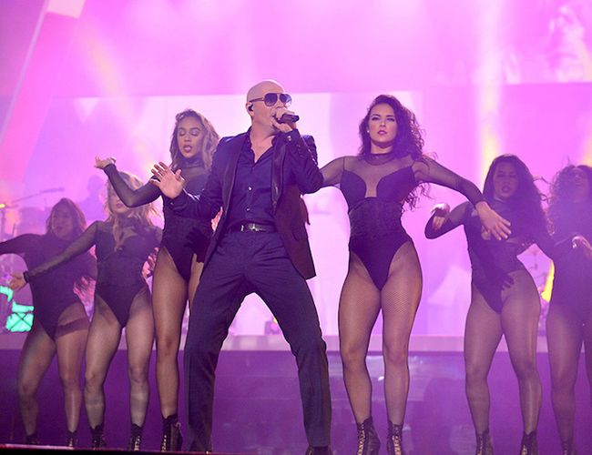 Pitbull.jpg