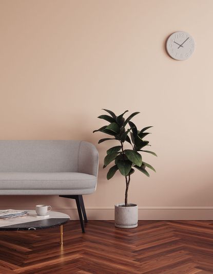 lick-home-the-new-online-paint-brand-that-does-next-day-delivery