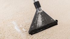 Wet/dry vacuum cleaning rug