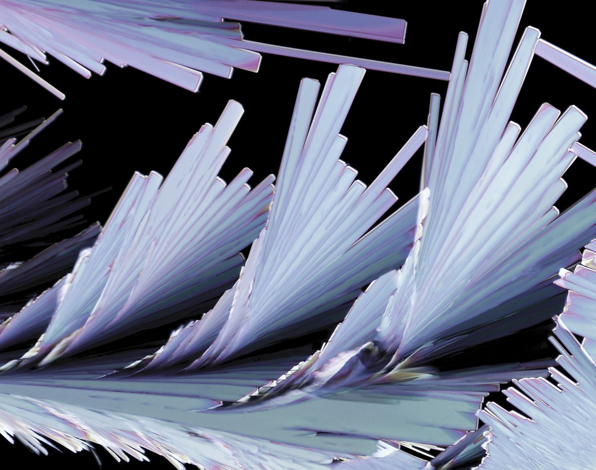 Sulfosalicylic Acid Crystal Formation