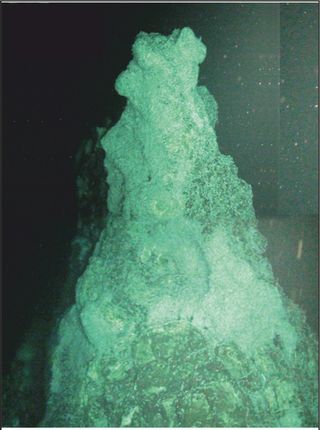 The main vent at the Von Damm Vent Field south of the Cayman Islands. Vents at this field have an unusual mineral composition of 85 percent to 90 percent talc.