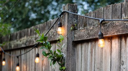 Fence light with string lights