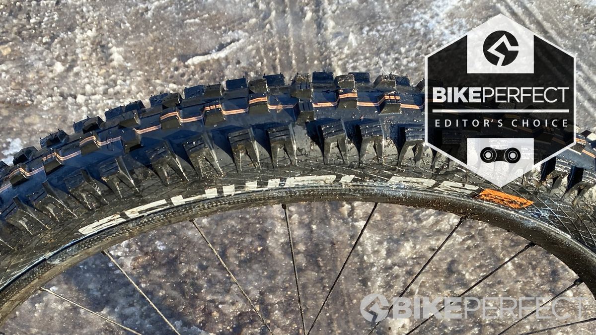 Best mountain bike tires 2023 BikePerfect