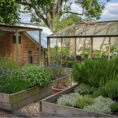 A greenhouse and shed sitting beside a vegetable garden filled with the best vegetables to grow in August